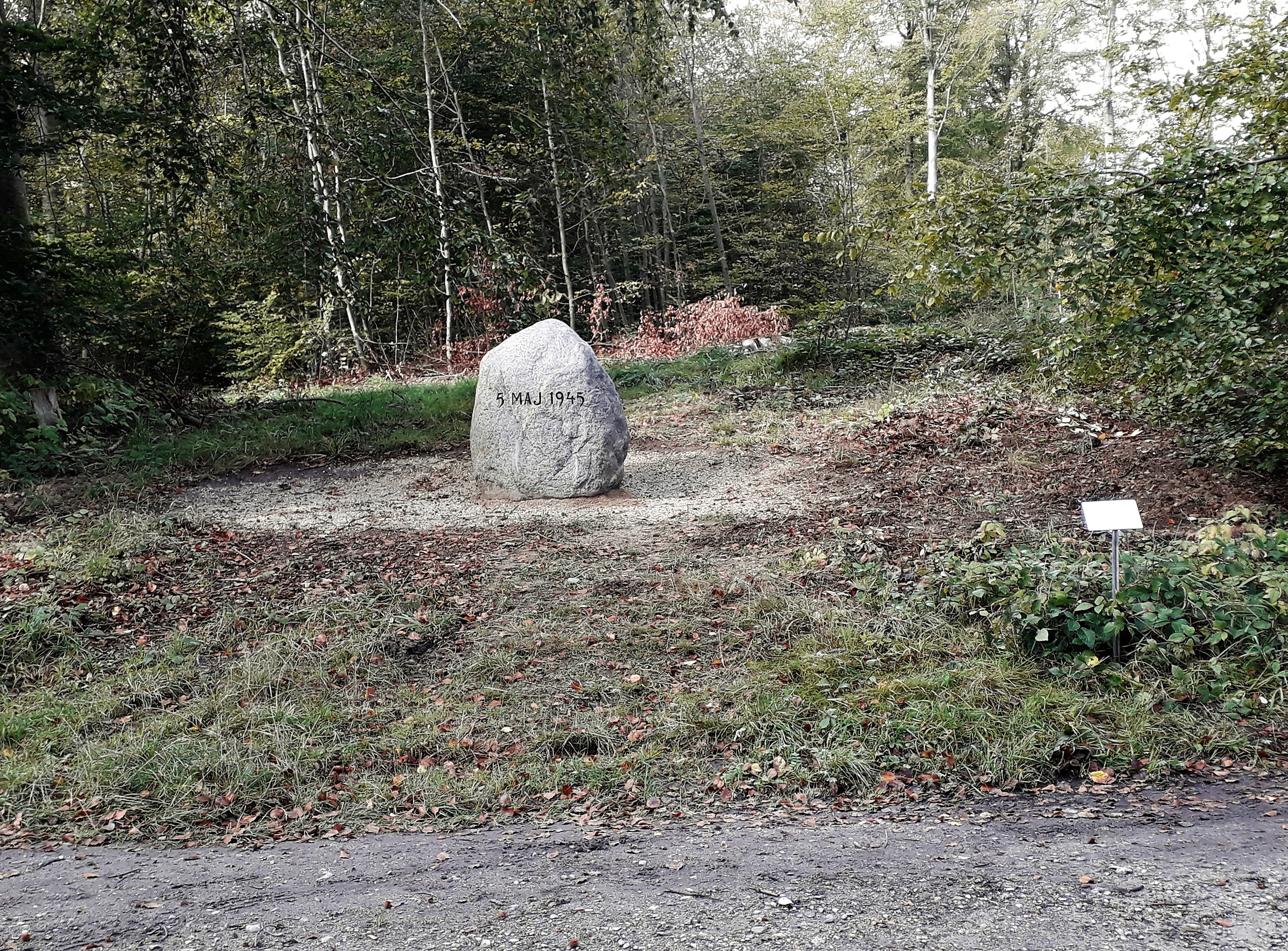 Gjorslev Bøgeskov