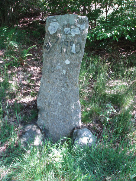 Befrielsessten i Foulum, Viiborgkommune